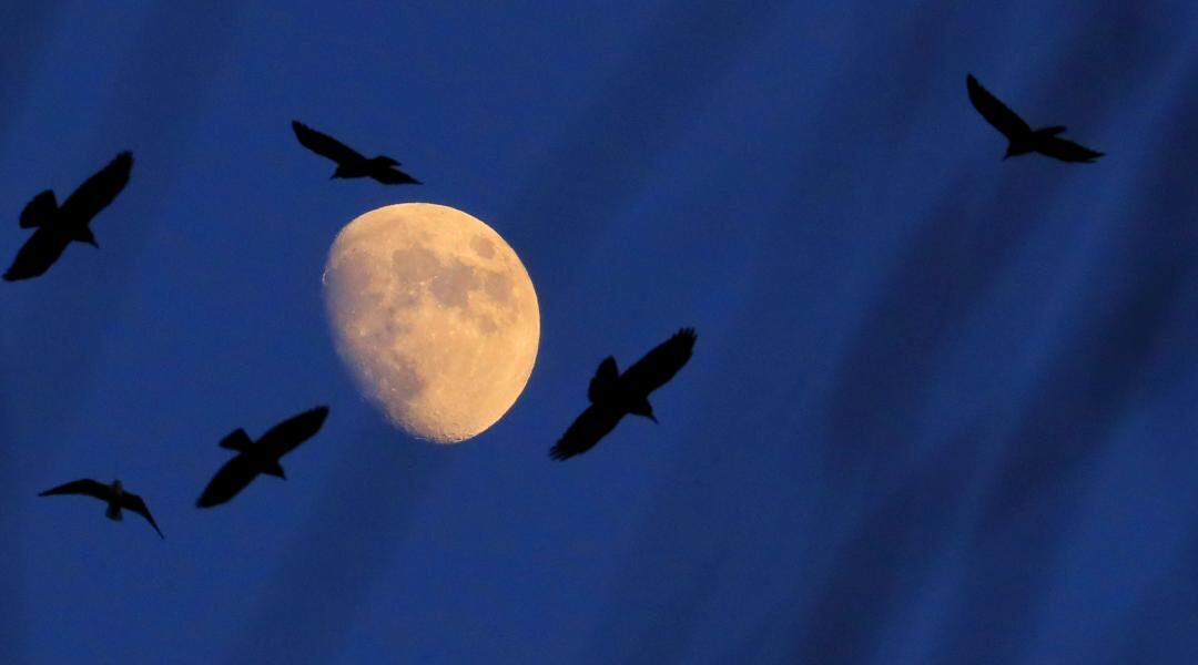 Από το Green στο… Clean Industrial Deal